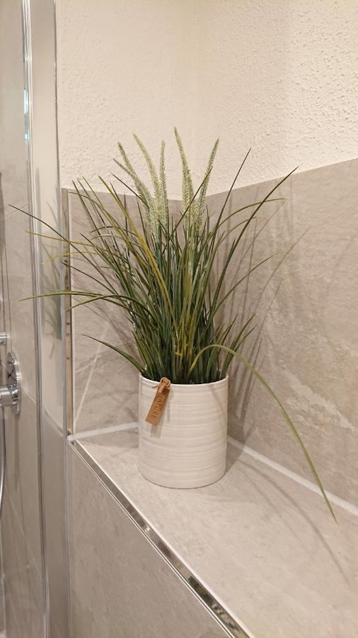 Gemuetliche Ferienwohnung Am Ortsrand Kreuzwertheim Ngoại thất bức ảnh